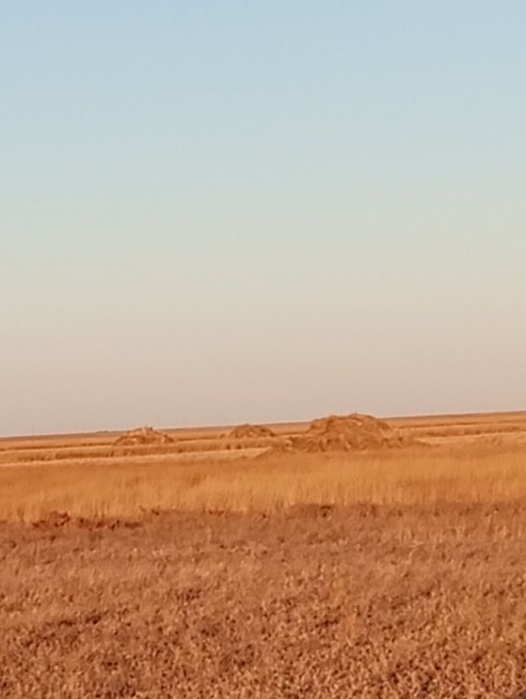 Земля сельхоз назначения