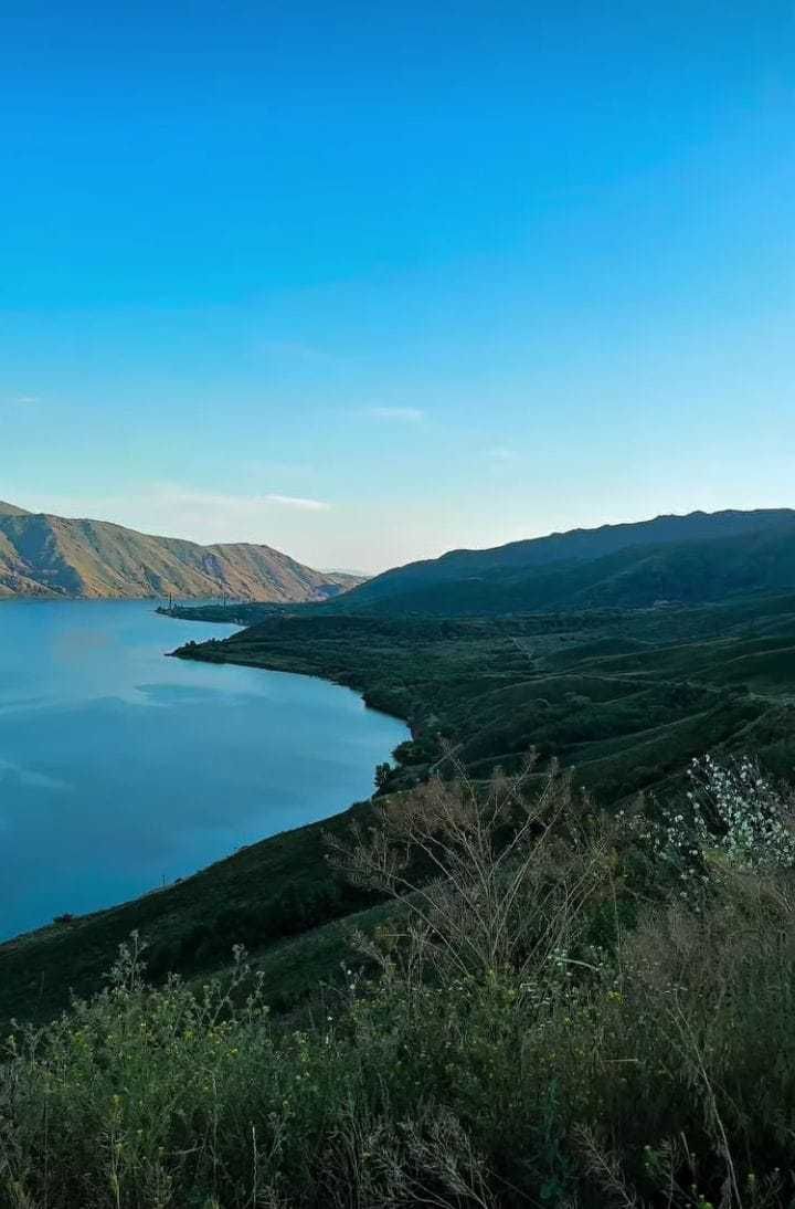 Сдам домик на Бухтарме