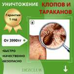 Дезинфекция кандала клопы таракан бурге тышканнан 100% гарантия