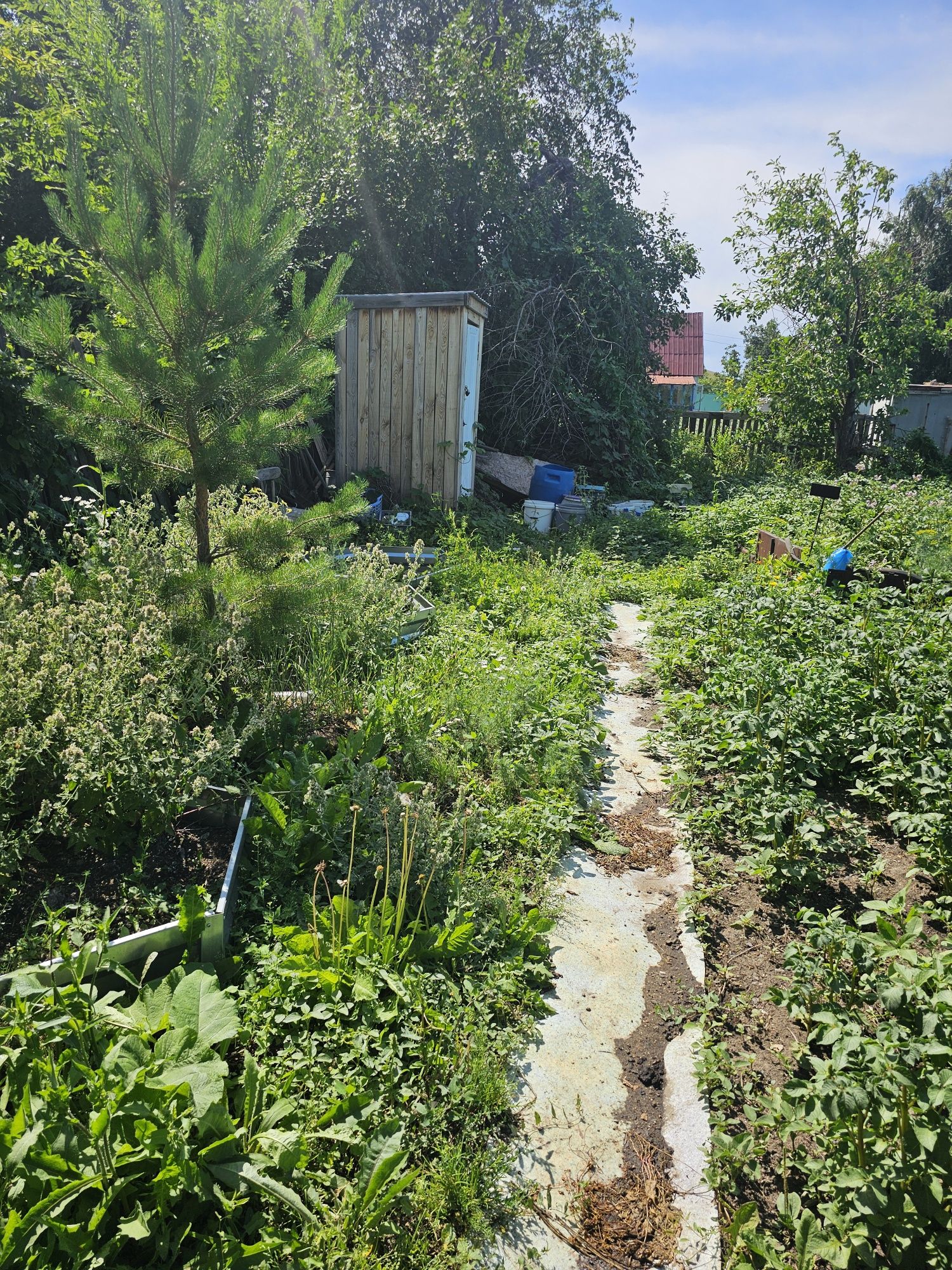 Продам дачу в общ. "Плодородие"