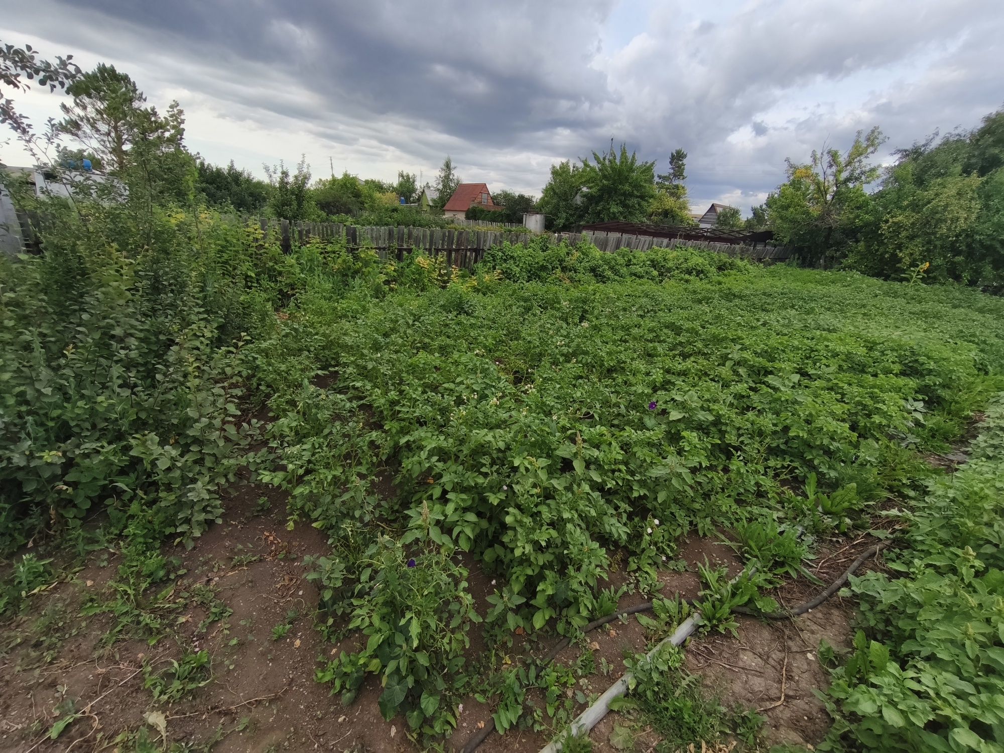 Продаётся дача в обществе вишенка (схос)..