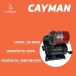 Хороший Водяной Ваккумный Насос  дома , напора CAYMAN 125-850W Мощный