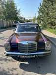 Mercedes Benz    .