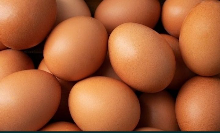 Продам домашние куриные яйца