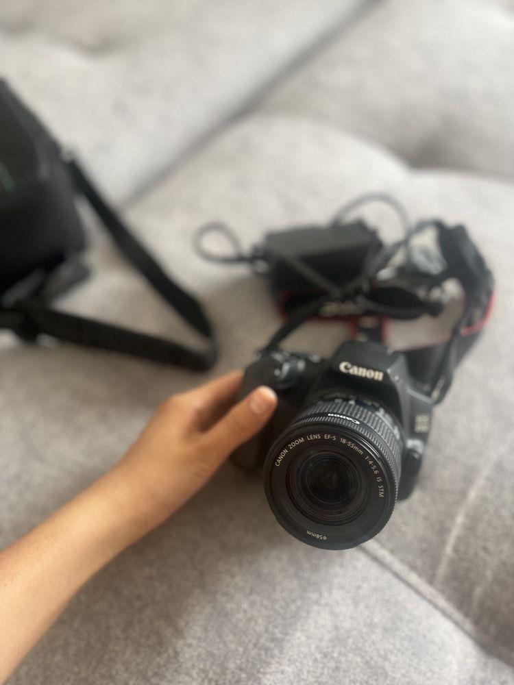 Canon EOS 250D EF-S 18-55 IS STM Чёрный