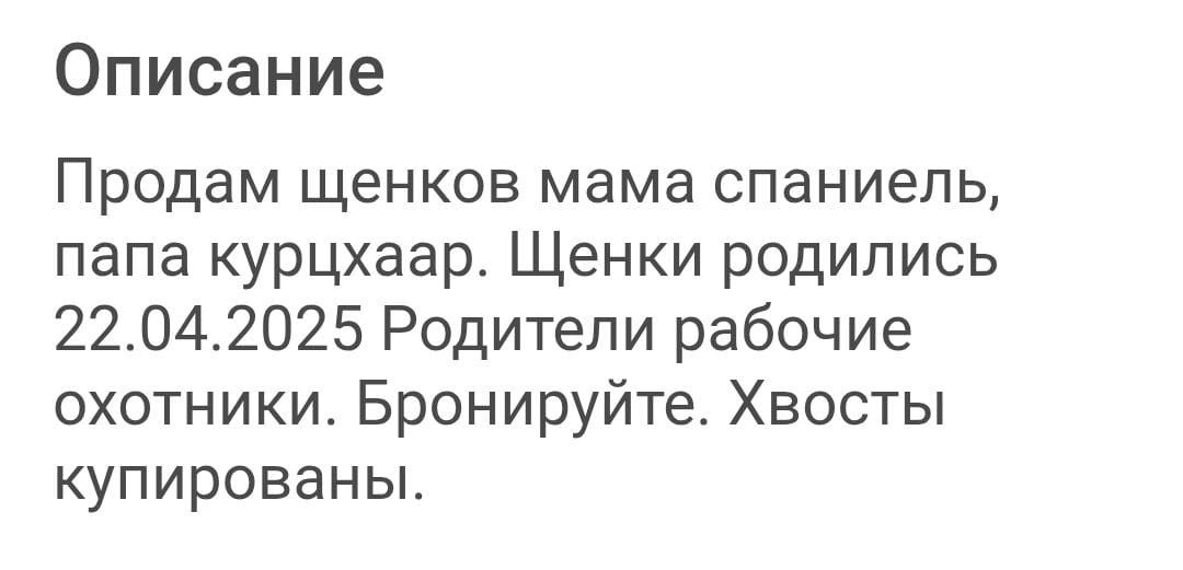 Продам щенки охотничьи
