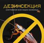 Уничтожение насекомых