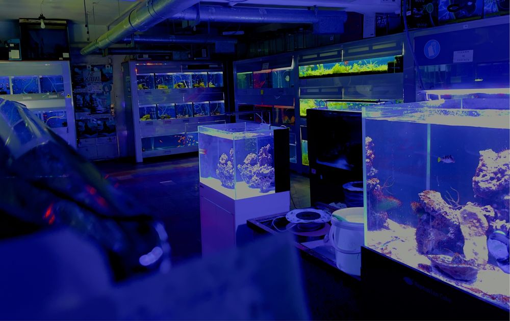 Оборудование для аквариумов от 9000 тг. в "Живом Мире" на Толе би