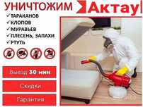 Тараканы Клопы Дизинфекция, Уничтожаем всех!