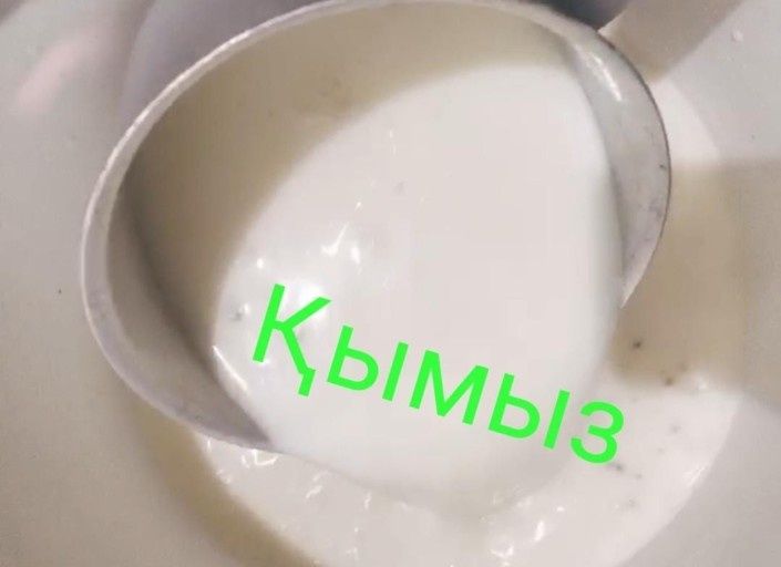 Домашний Кымыз Шубат. Кумыс. Қымыз Курт, Құрт,