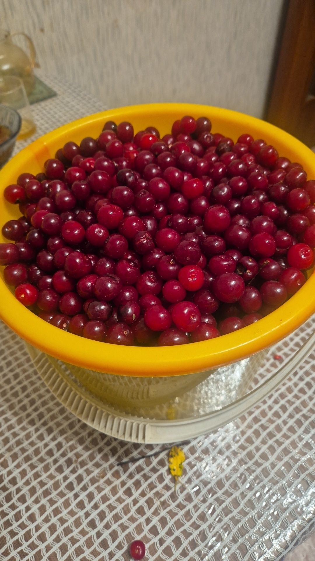 Продам вишню 5000