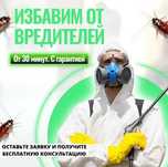 Дезинфекция клопы тараканы блохи клещи осы муравьи мыши крысы