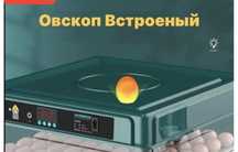 Инкубатор, сетка для перепелов