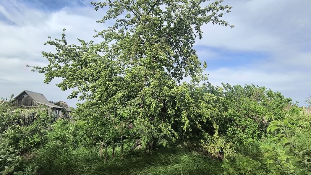Продам дачу в районе КСК