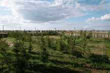 Продам готовый участок в Косшы, всего в 15 минутах от Астаны