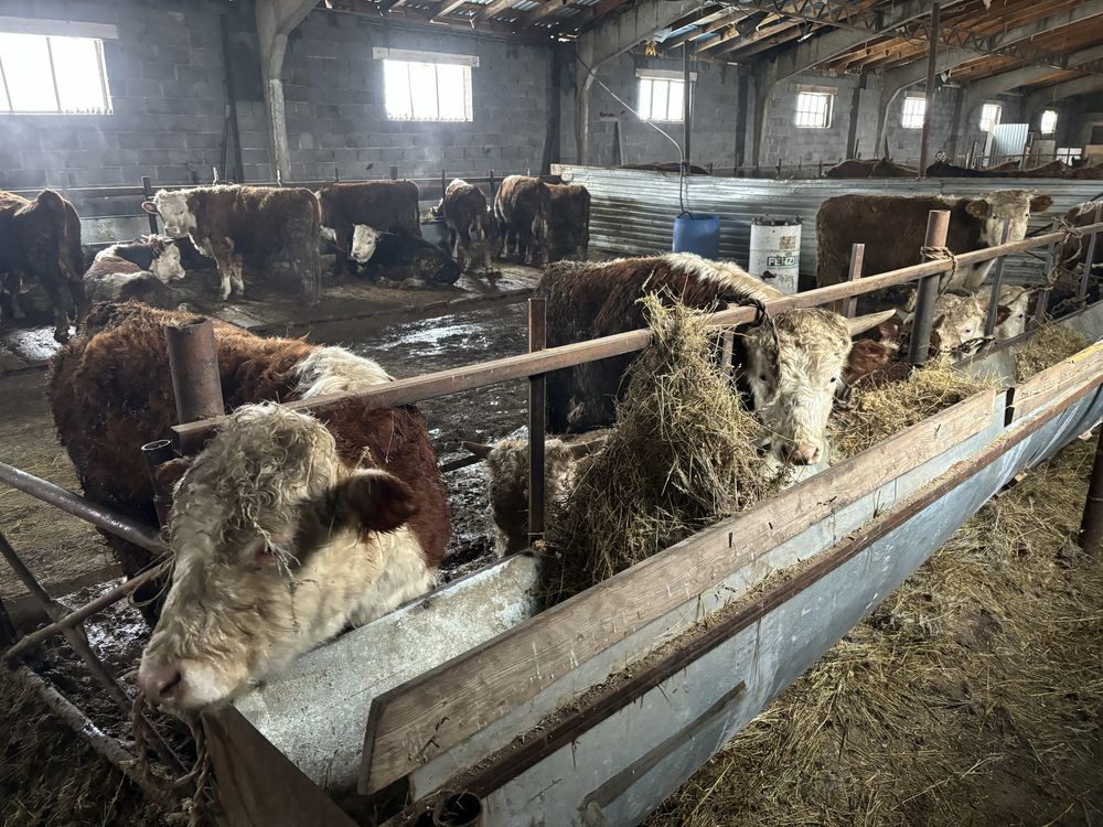 Срочно продам или сдам в аренду базу с земельным участком