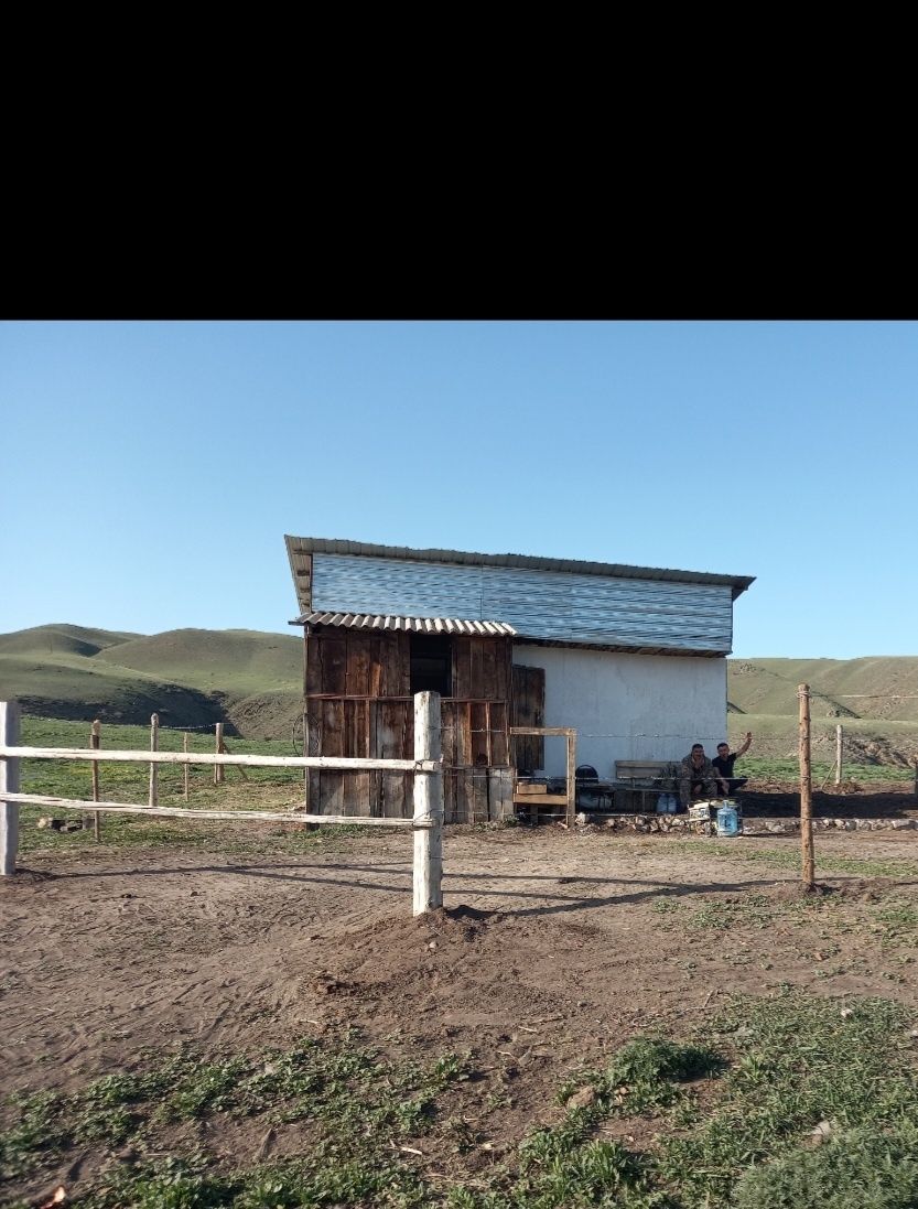 Фазенда сатылады