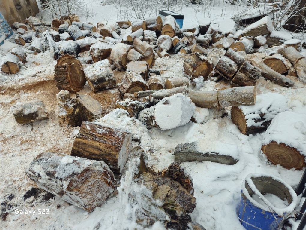 Карагач не дорога