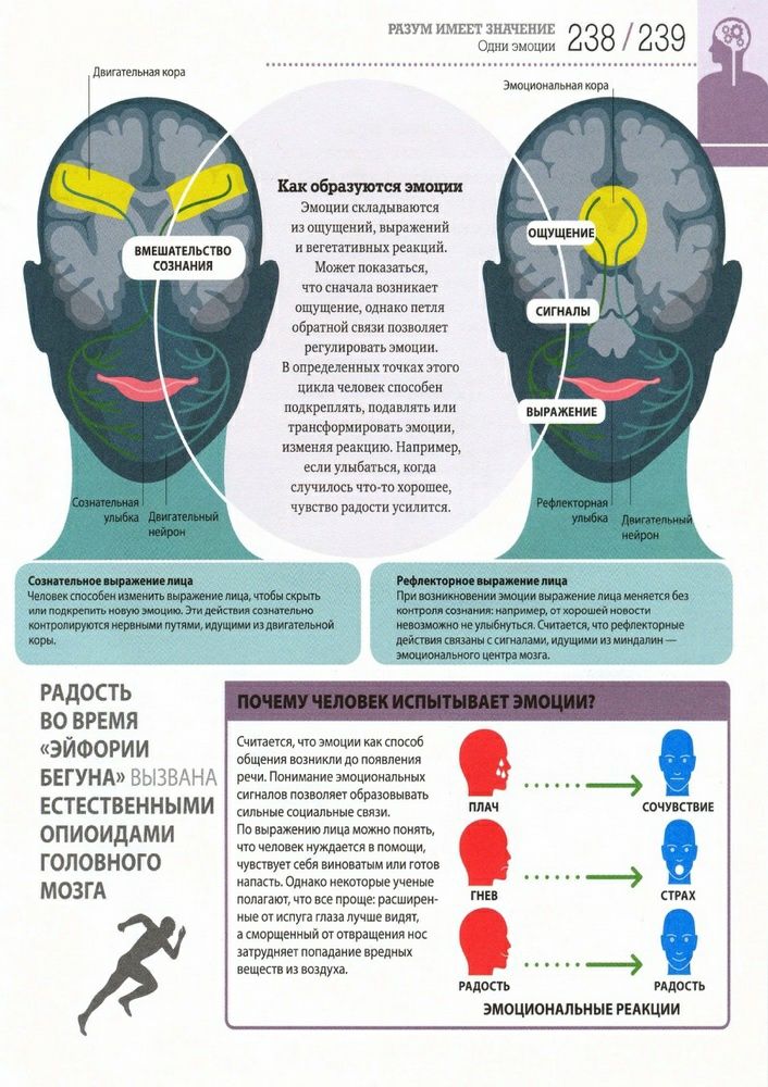 Как работает тело