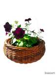 Продам кашпо из ротанга