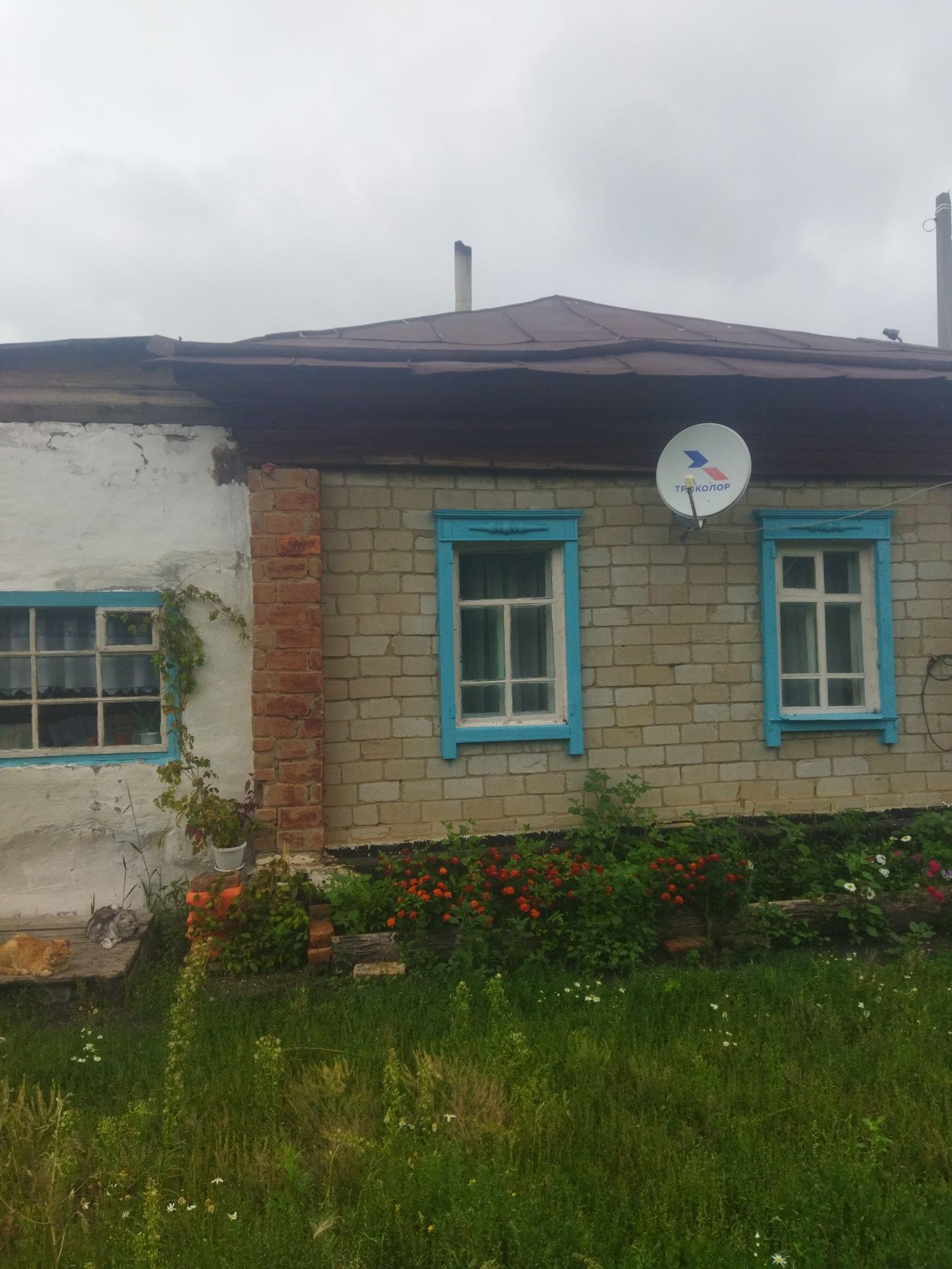 Продам дом. Недорого.