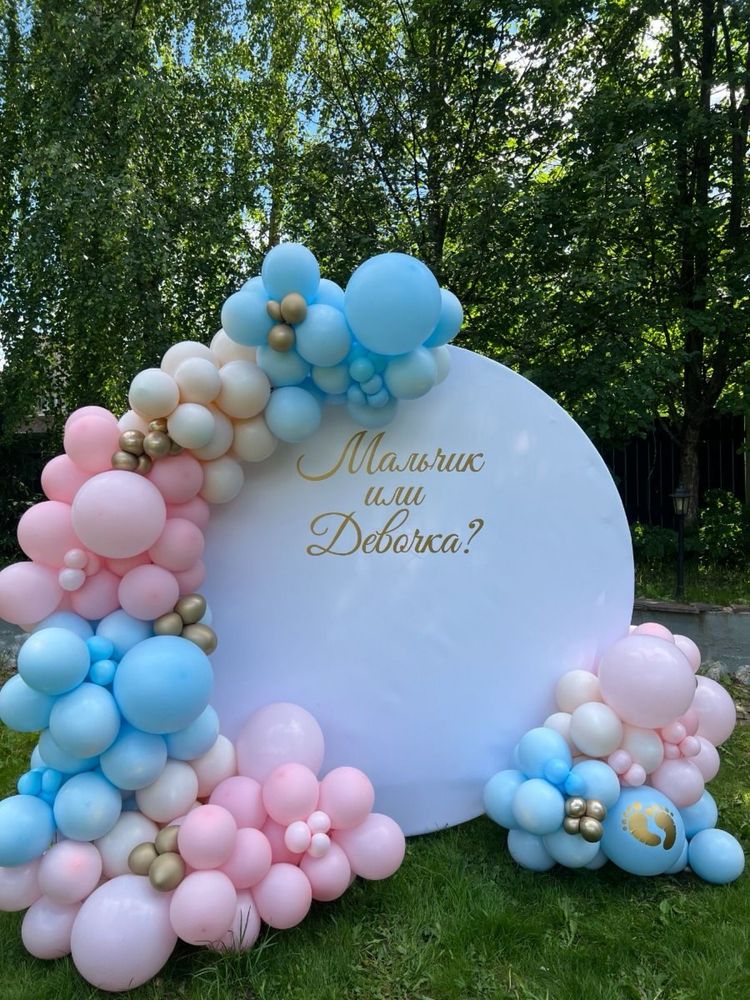 Организация Гендер пати ! Gender Party