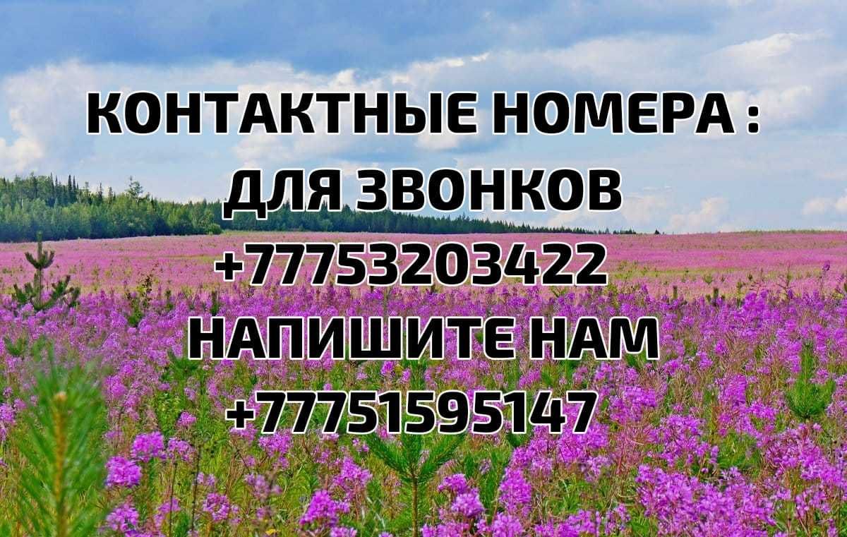Сдаётся 2х комнатная дом