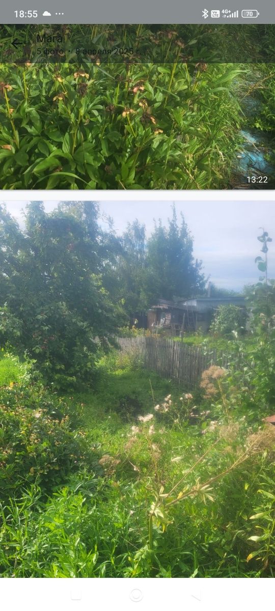 Продам дачу общество романтик