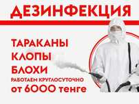 Дезинфекция/ Уничтожение клопов/тараканов/клещей/грызунов Дизенфекция