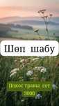 Покос травы, шөп шабу және жинау