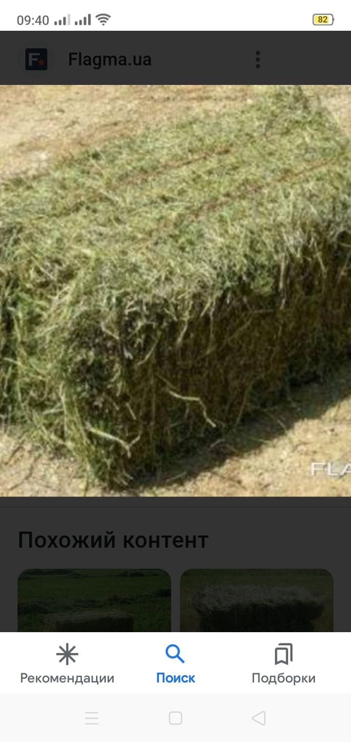 Түкке салынған жоңыршқа.