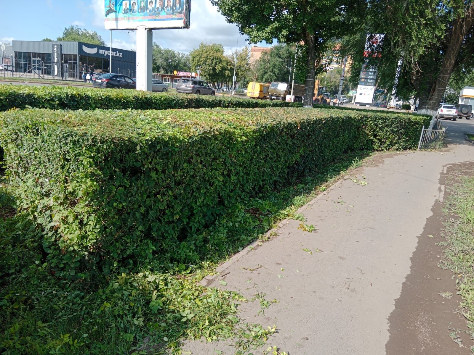 Формовка кустов деревьев и так далее