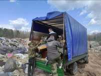 вывоз мусора на свалку города договоримся недорого