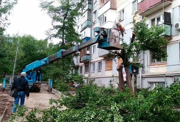 Спил деревьев/подрезка веток