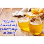 Продам свежий мёд
