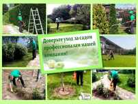 Стрижка уход за садом участком чистка территории дезинфекция