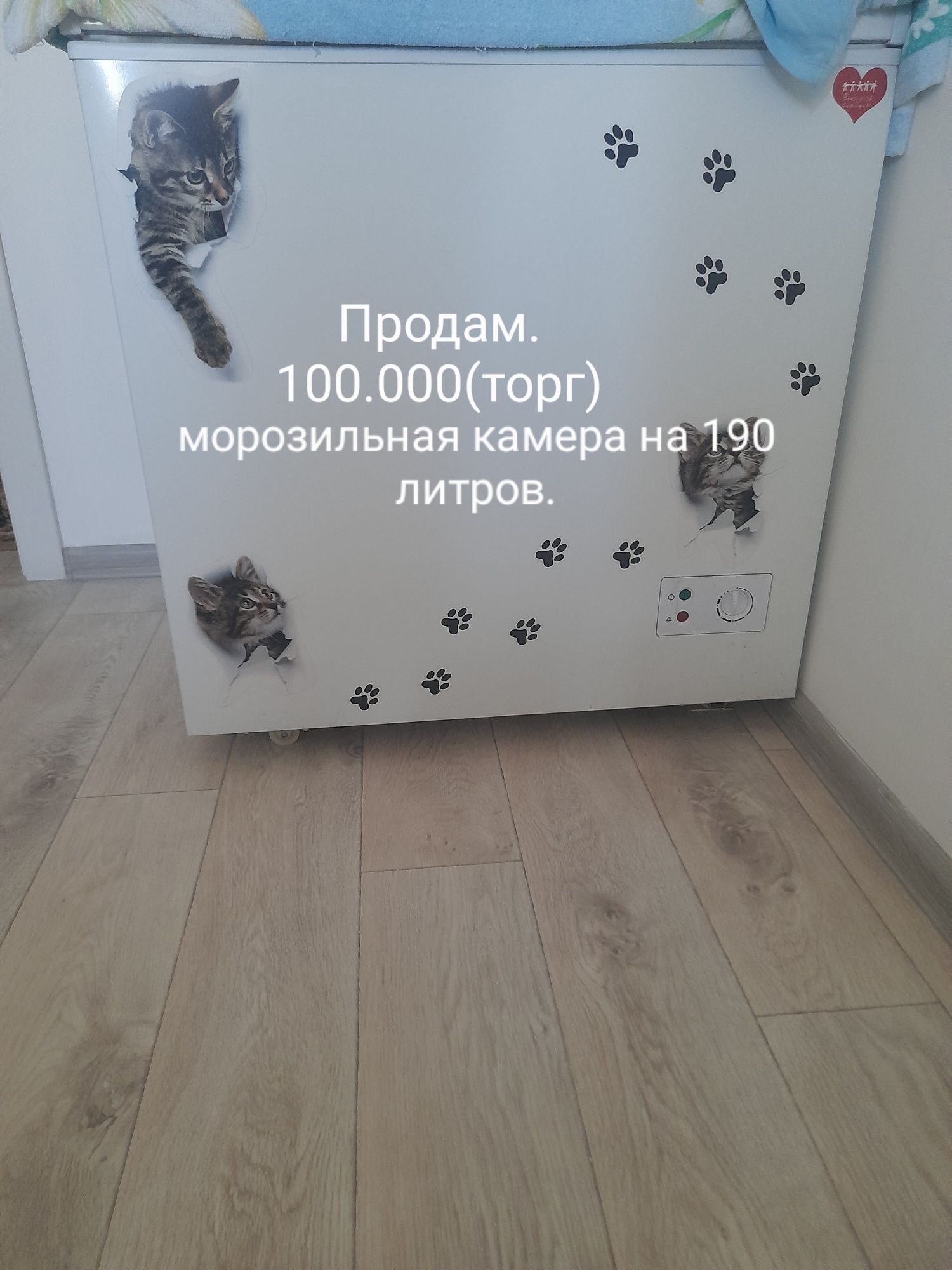 Срочно продам морозильную камеру