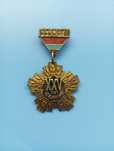 Значек 25 лет Целине