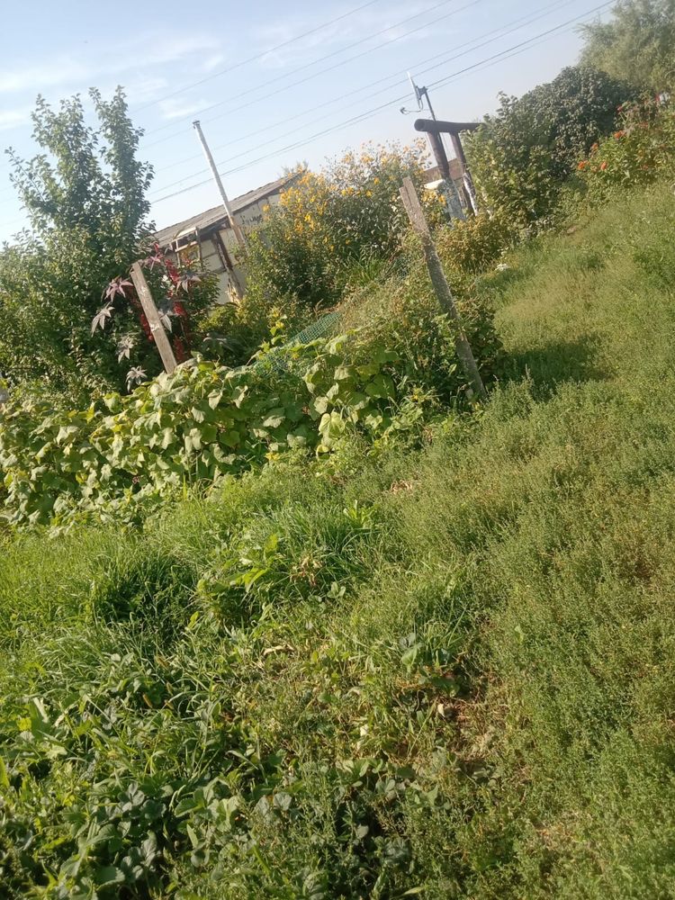 Продается дача зимний вариант Агротехснаб