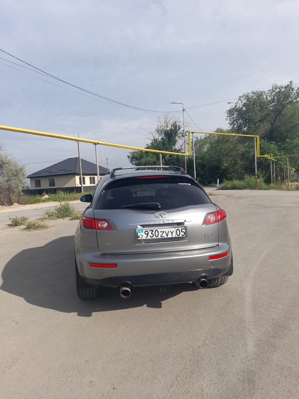 Продам живого "финика"
