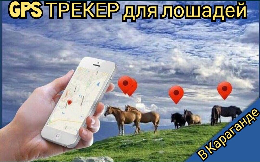 GPS ЖПС трекер жылқыға жпс GPS ошейник трекер для отслеживания лошадей