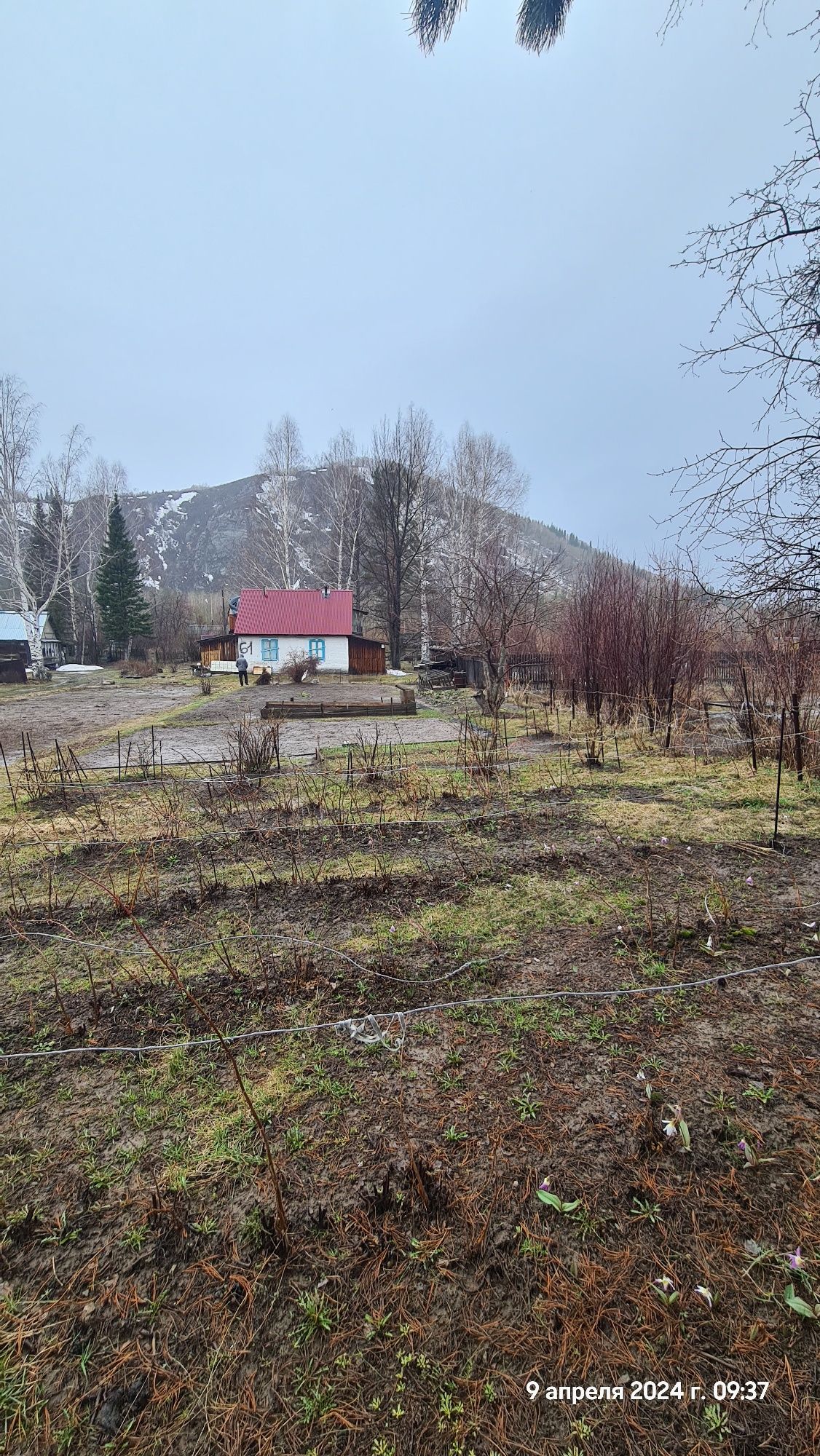 Продам дачу с/о Казахстан огород засажен