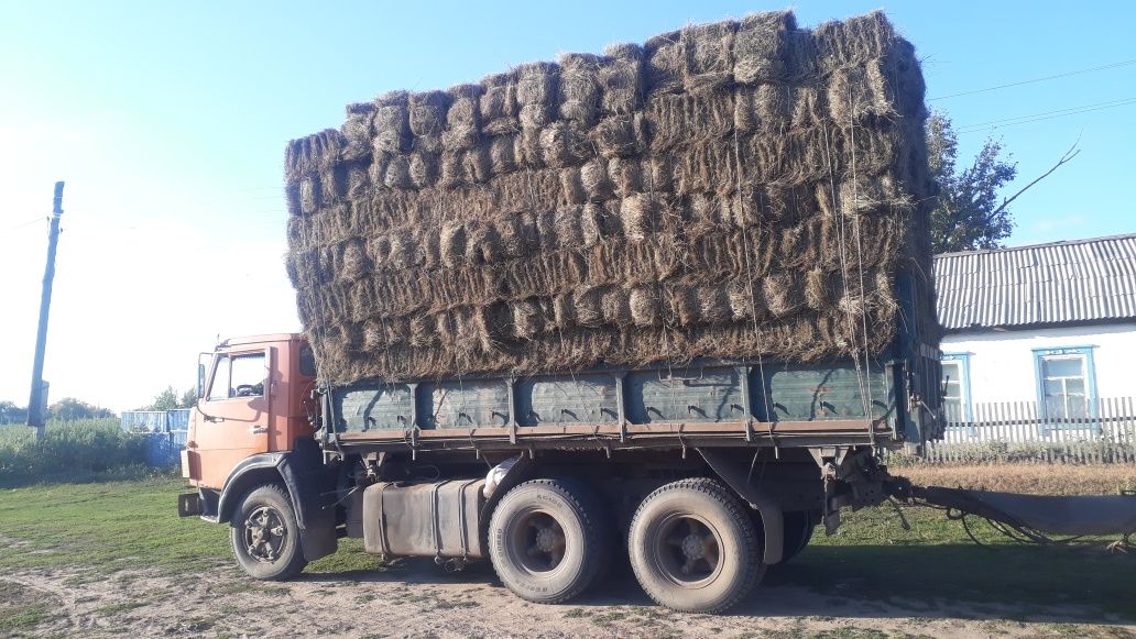 Продам сено в тюках оптом. 300т.