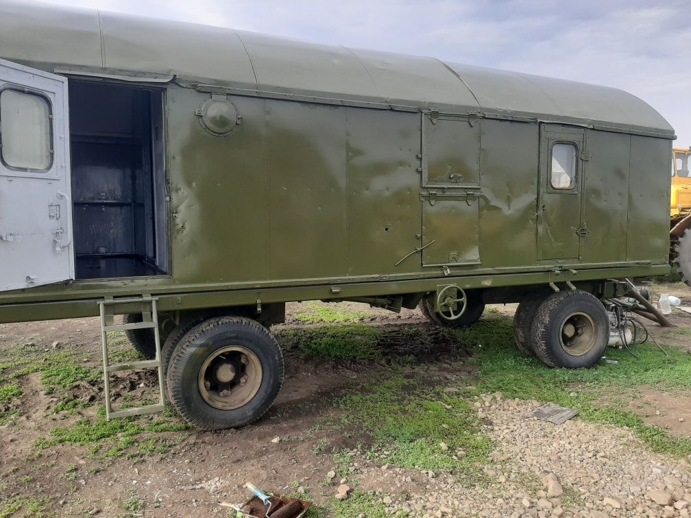 Вогончик полевой