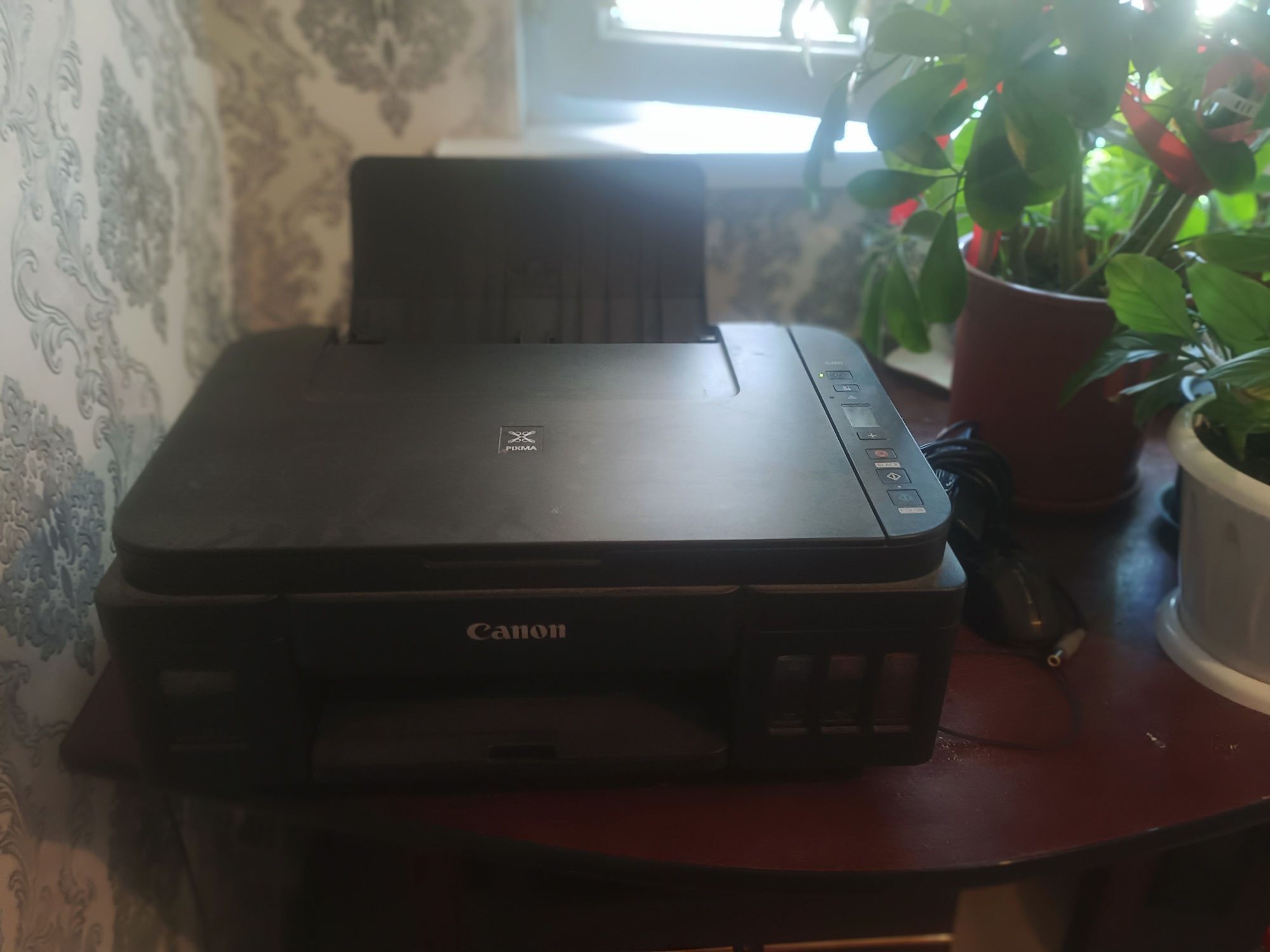 Принтер Canon 2411