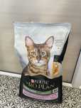 Сухой корм для кошек