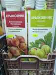 Саженцы крыжовника