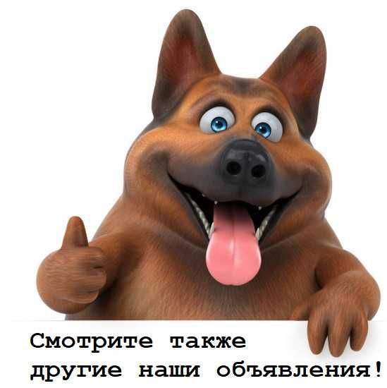 Продам стеклянные бутыли на 20 литров, 2 шт