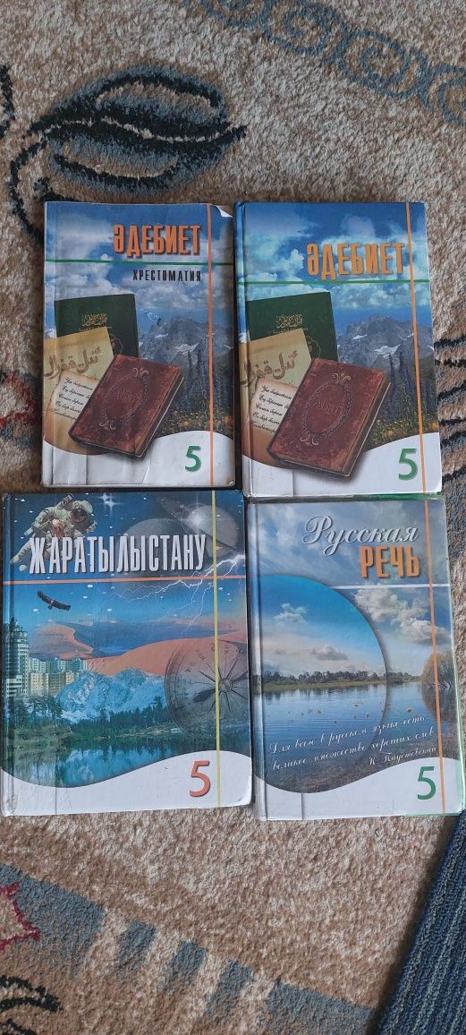 Учебники в хорошем состоянии.