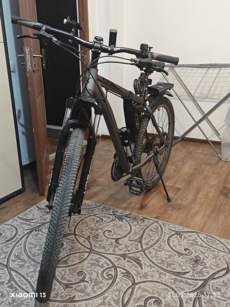 AXIS HD 29 горный